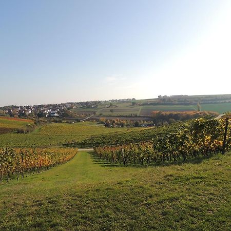 فندق Weingut Seck Dolgesheim المظهر الخارجي الصورة