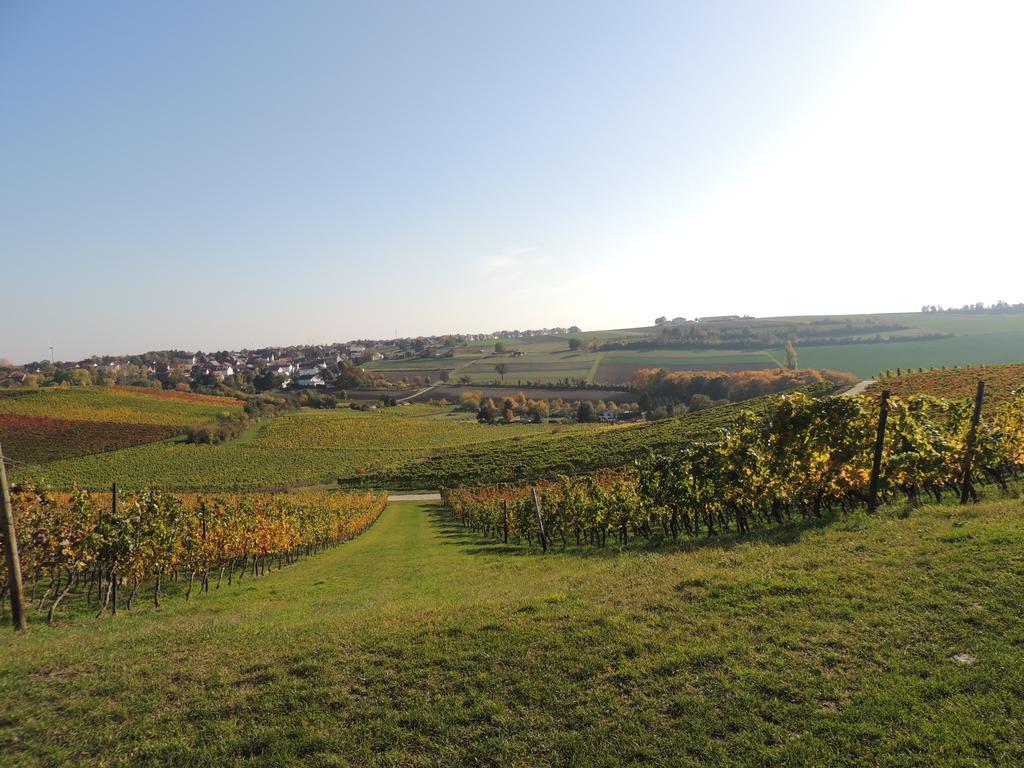 فندق Weingut Seck Dolgesheim المظهر الخارجي الصورة