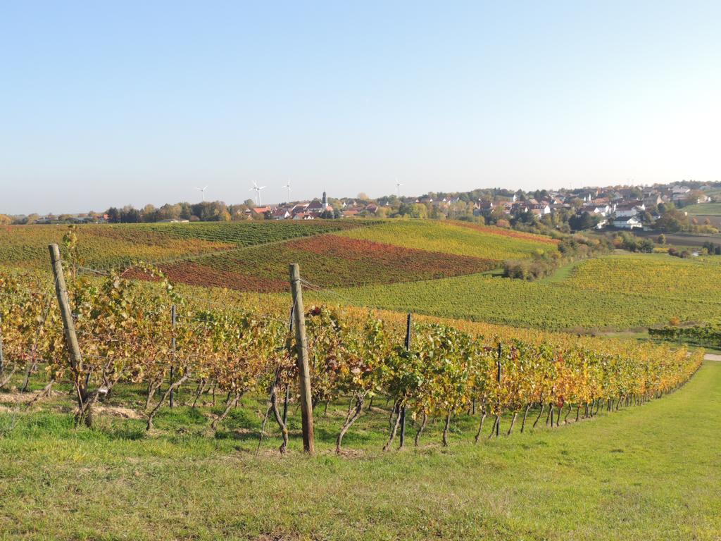 فندق Weingut Seck Dolgesheim المظهر الخارجي الصورة